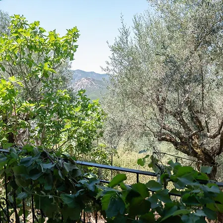 Βίλα Endless Green, Hidden Gem In The Mountains *
