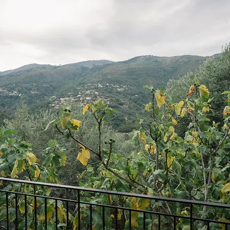 Endless Green, Hidden Gem In The Mountains וילה Artemisía