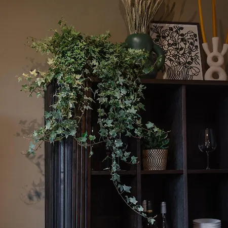 Endless Green, Hidden Gem In The Mountains