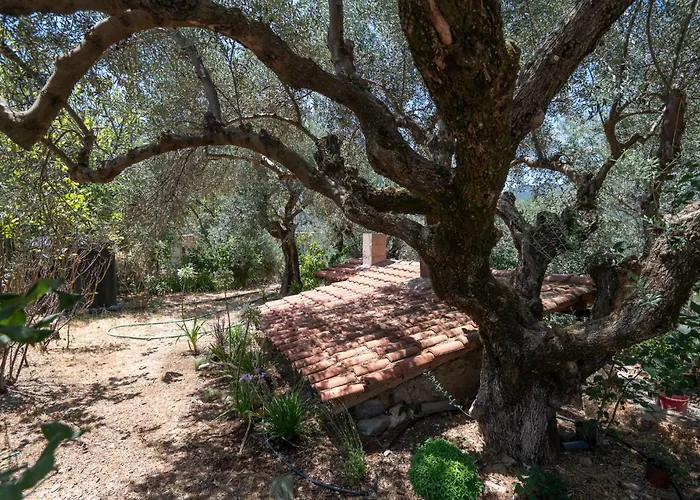 Endless Green, Hidden Gem In The Mountains *