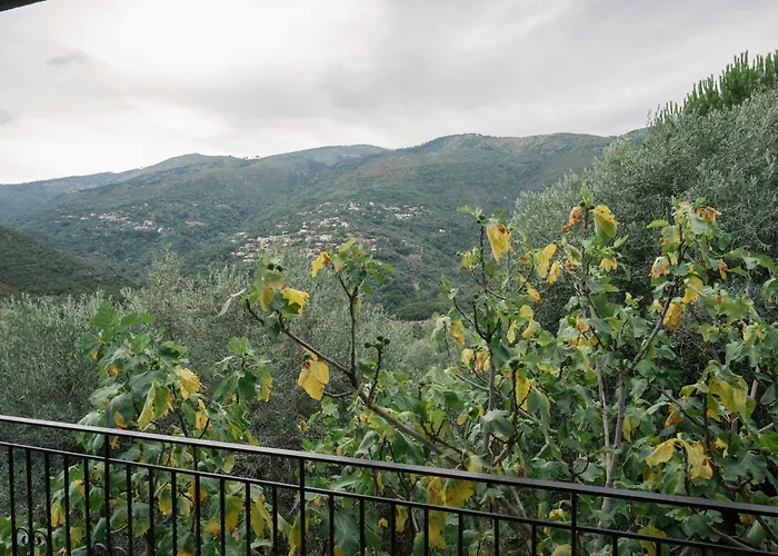 Endless Green, Hidden Gem In The Mountains Willa Artemisía