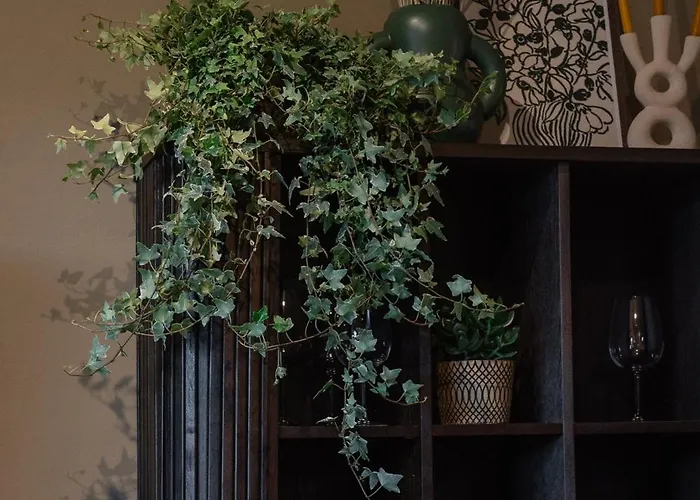 Endless Green, Hidden Gem In The Mountains