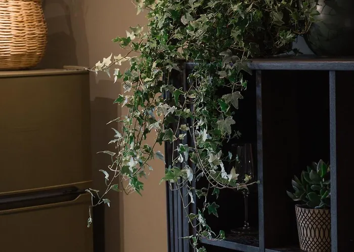 Endless Green, Hidden Gem In The Mountains