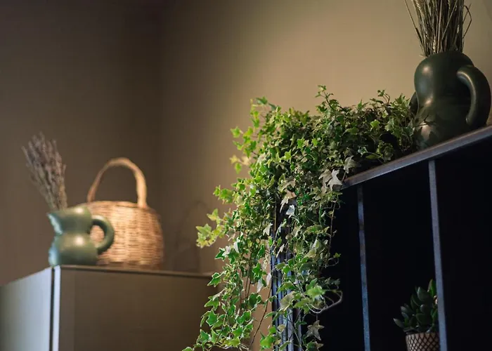 Endless Green, Hidden Gem In The Mountains Willa *